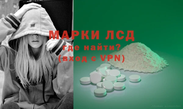 прущие грибы Беломорск