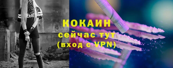 прущие грибы Беломорск