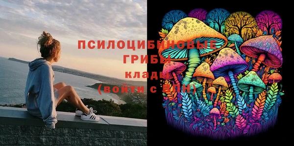 меф Белокуриха