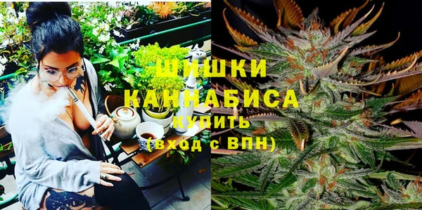 хмурый Богородицк