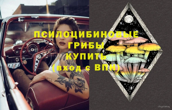 гидропоника Богородск