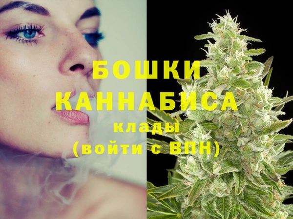 хмурый Богородицк