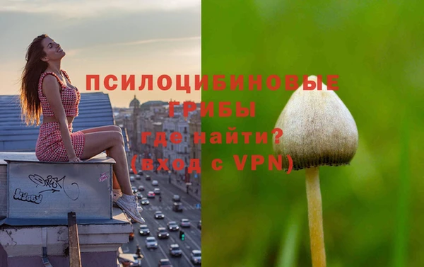 соль курить ск Богданович