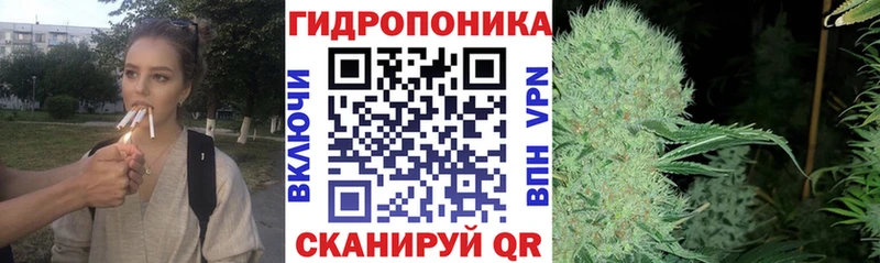 цены   Медвежьегорск  blacksprut как зайти  Бошки марихуана тримм 